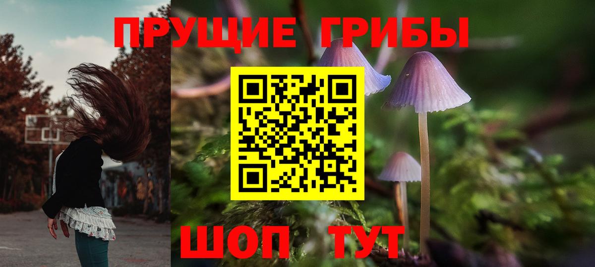 Галлюциногенные грибы мухоморы Южноуральск