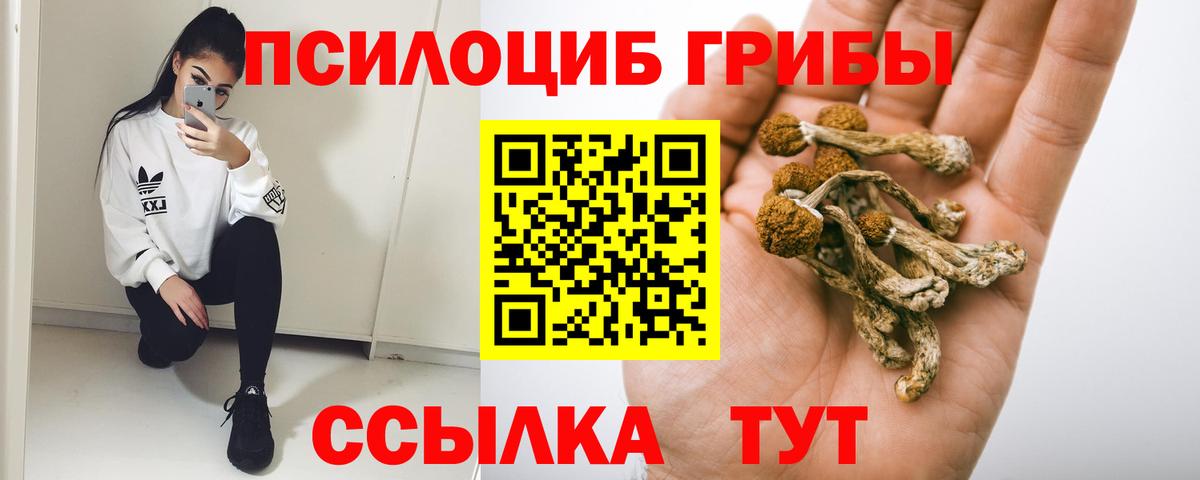 Галлюциногенные грибы GOLDEN TEACHER  цена   Южноуральск  Вход с VPN 